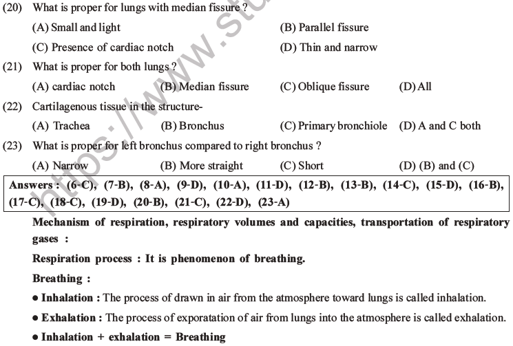 NEET Biology Breathing and Exchange of Gases MCQs Set B-4