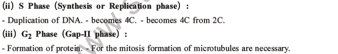 NEET Biology Cell Cycle MCQs Set A-