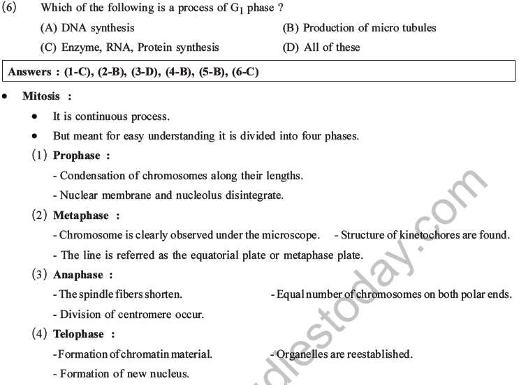 NEET Biology Cell Cycle MCQs Set A-1