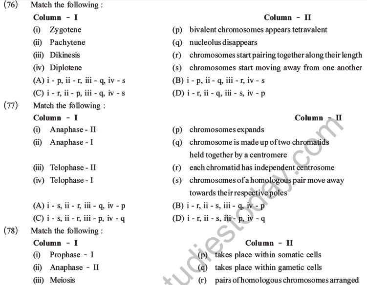 NEET Biology Cell Cycle MCQs Set A-20