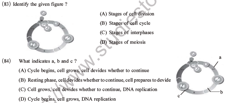 NEET Biology Cell Cycle MCQs Set A-23