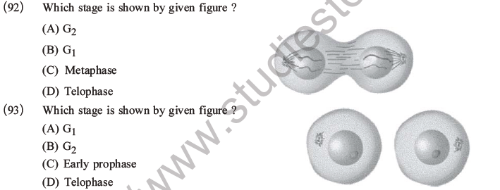 NEET Biology Cell Cycle MCQs Set A-26