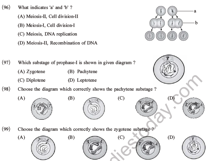 NEET Biology Cell Cycle MCQs Set A-28