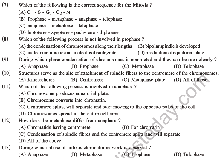 NEET Biology Cell Cycle MCQs Set A-3