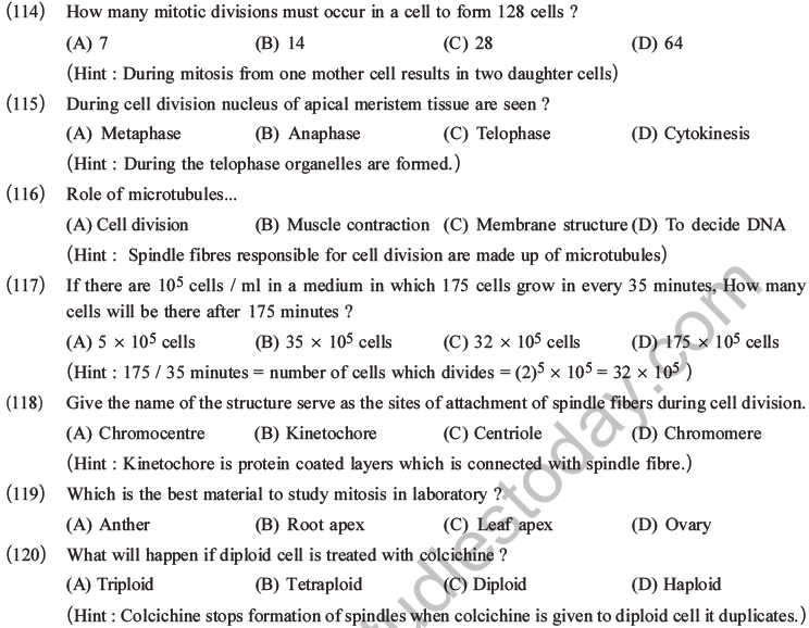 NEET Biology Cell Cycle MCQs Set A-32