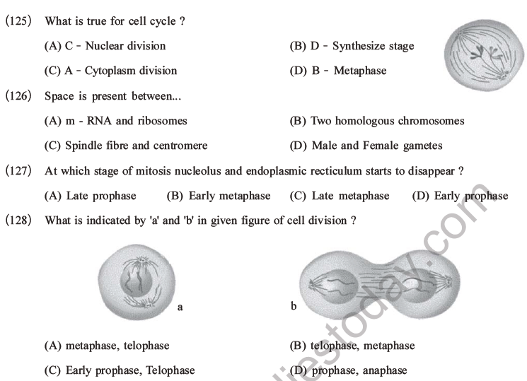 NEET Biology Cell Cycle MCQs Set A-34