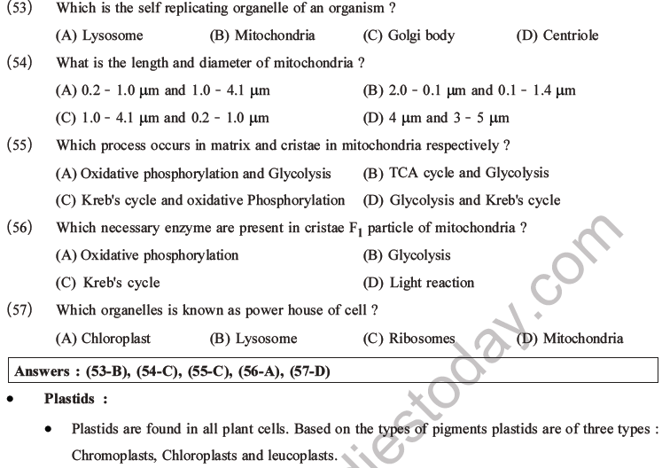 NEET Biology Cell Structure and Function MCQs Set B-13