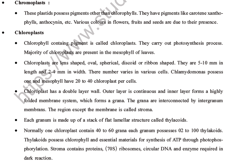 NEET Biology Cell Structure and Function MCQs Set B-14