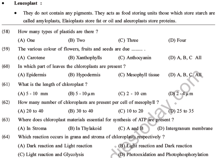 NEET Biology Cell Structure and Function MCQs Set B-15