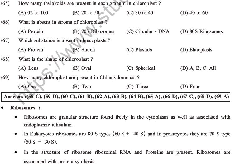 NEET Biology Cell Structure and Function MCQs Set B-16