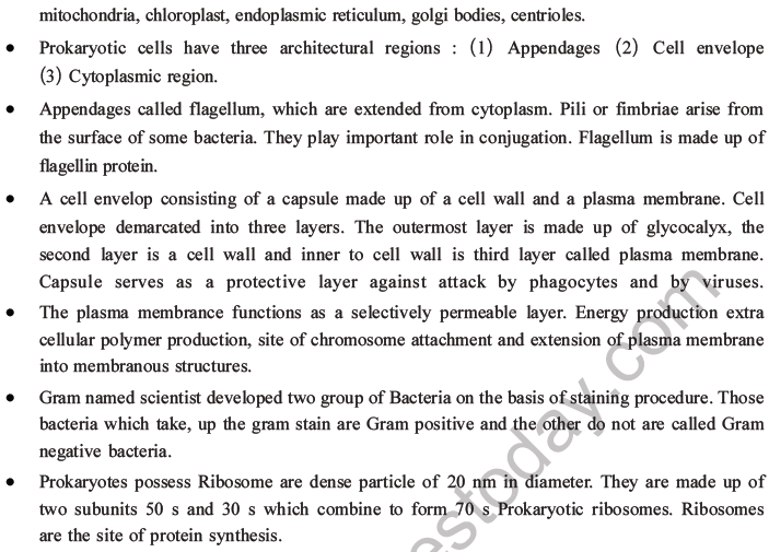 NEET Biology Cell Structure and Function MCQs Set B-3