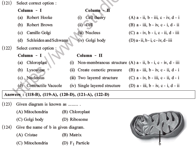 NEET Biology Cell Structure and Function MCQs Set B-30