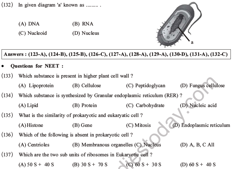 NEET Biology Cell Structure and Function MCQs Set B-33