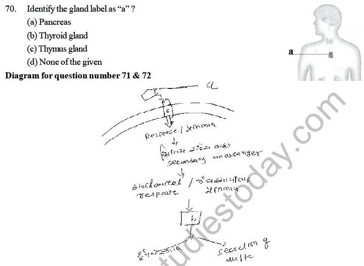 NEET Biology Chemical Coordination and Control MCQs Set A-6