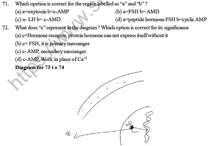 NEET Biology Chemical Coordination and Control MCQs Set A-7