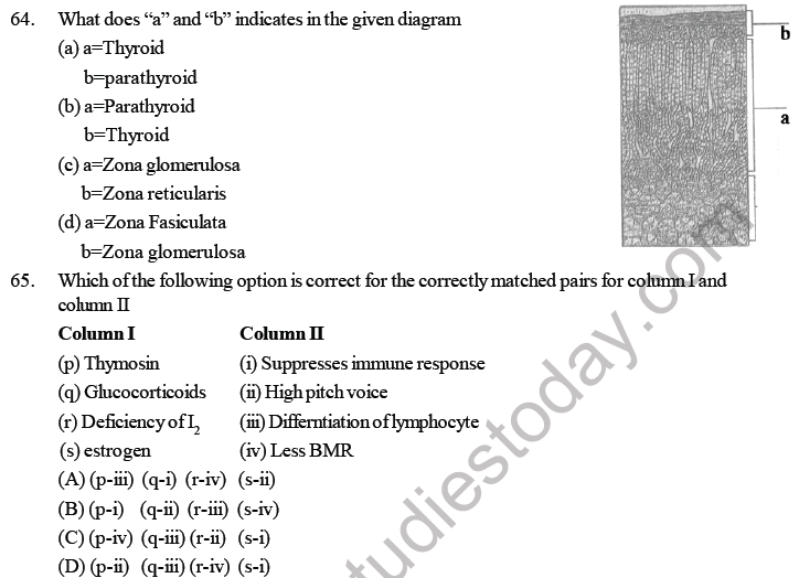 NEET Biology Chemical Coordination and Control MCQs Set A-Q64