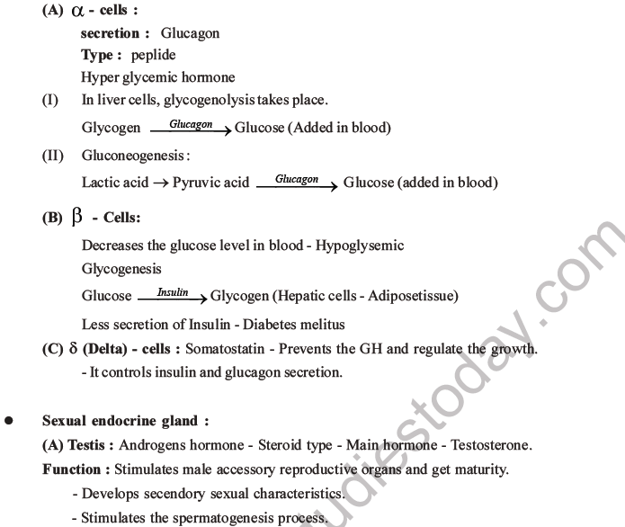 NEET Biology Chemical Coordination and Control MCQs Set B-11