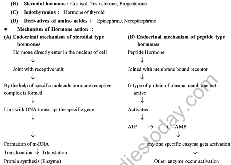 NEET Biology Chemical Coordination and Control MCQs Set B-15