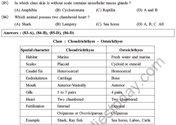 NEET Biology Classification of Animal Kingdom MCQs Set A-21