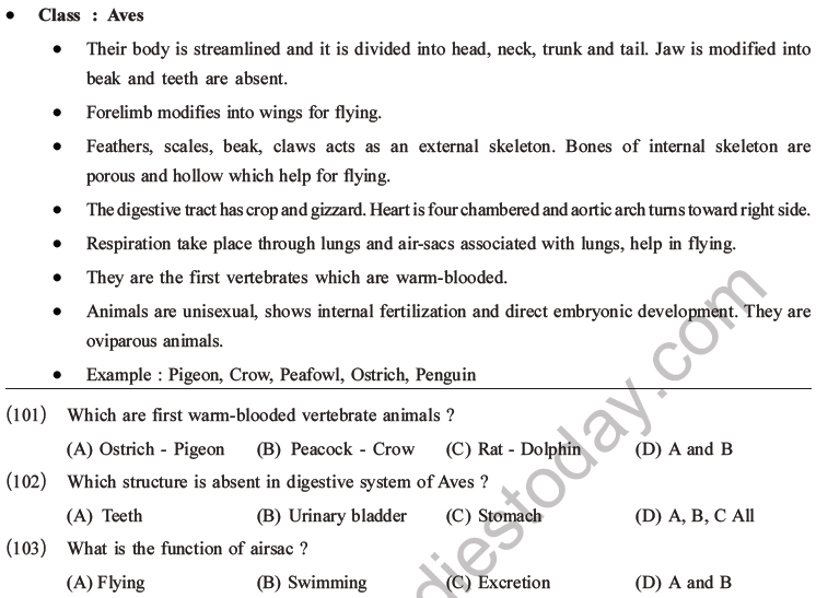 NEET Biology Classification of Animal Kingdom MCQs Set A-25