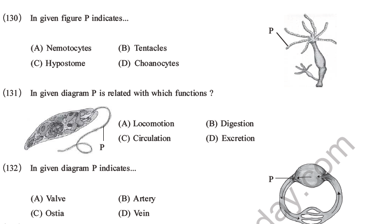 NEET Biology Classification of Animal Kingdom MCQs Set A-33