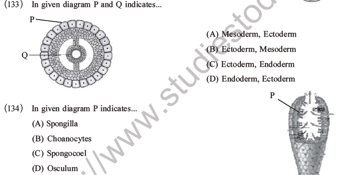 NEET Biology Classification of Animal Kingdom MCQs Set A-34