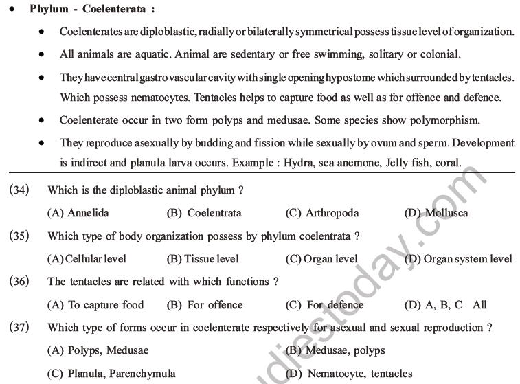 NEET Biology Classification of Animal Kingdom MCQs Set A, Multiple Choice  Questions