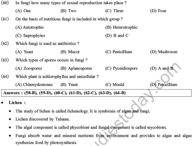 NEET Biology Classification of Plant Kingdom MCQs Set A-13