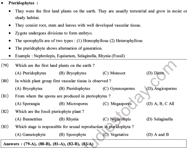 NEET Biology Classification of Plant Kingdom MCQs Set A-17