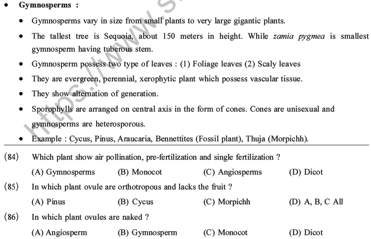 NEET Biology Classification of Plant Kingdom MCQs Set A-18