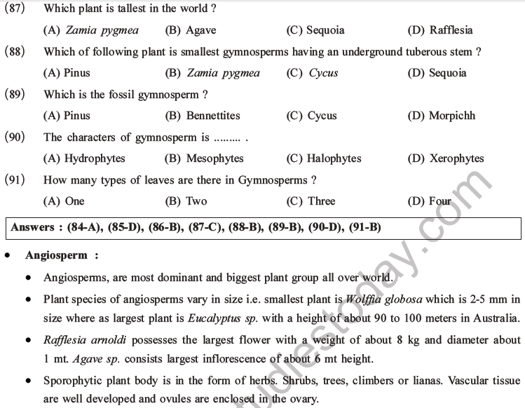 NEET Biology Classification of Plant Kingdom MCQs Set A-19
