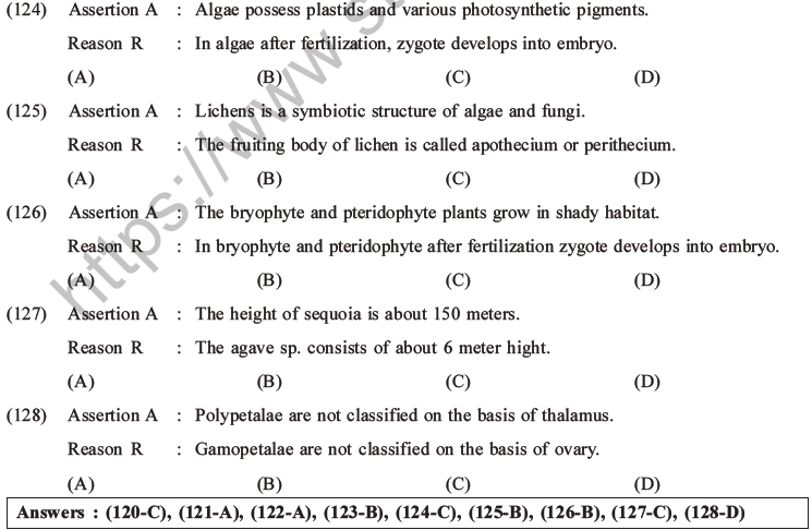NEET Biology Classification of Plant Kingdom MCQs Set A-28