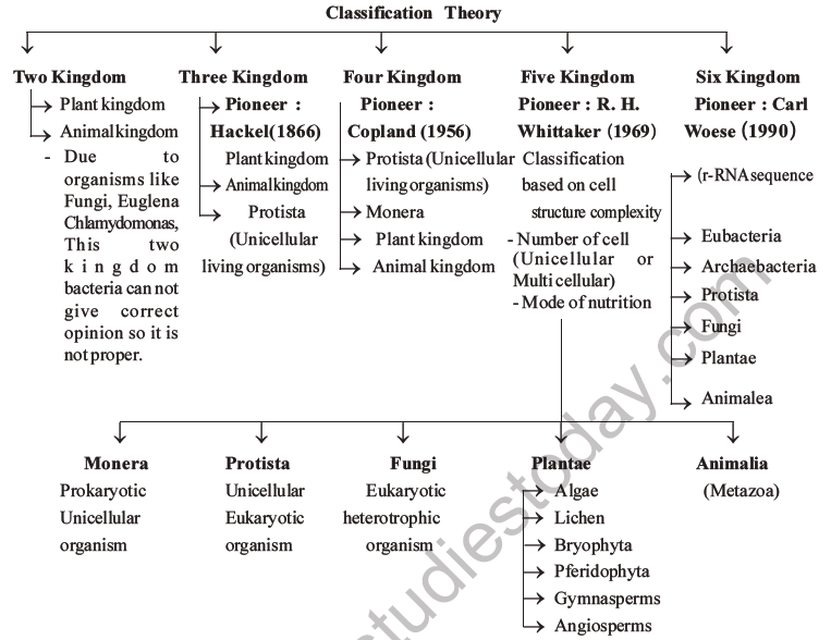 NEET Biology Classification of Plant Kingdom MCQs Set A-35