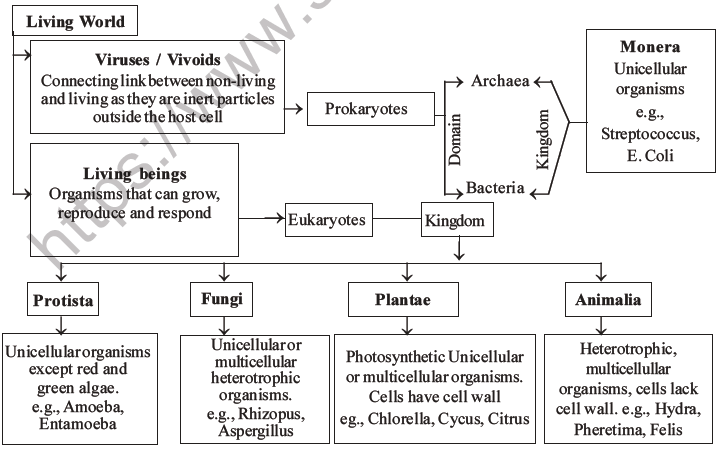 NEET Biology Classification of Plant Kingdom MCQs Set A-36