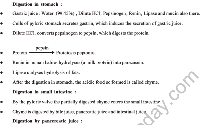 NEET Biology Digestion and Absorption MCQs Set C-11