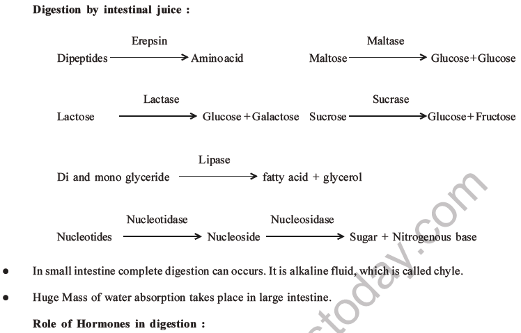 NEET Biology Digestion and Absorption MCQs Set C-14