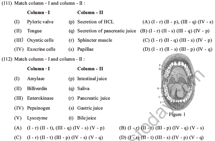 NEET Biology Digestion and Absorption MCQs Set C-29