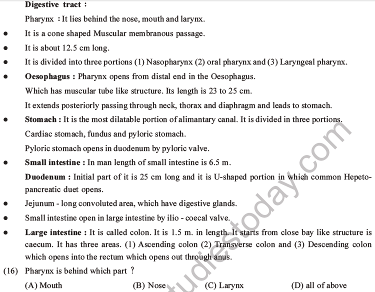 NEET Biology Digestion and Absorption MCQs Set C-3