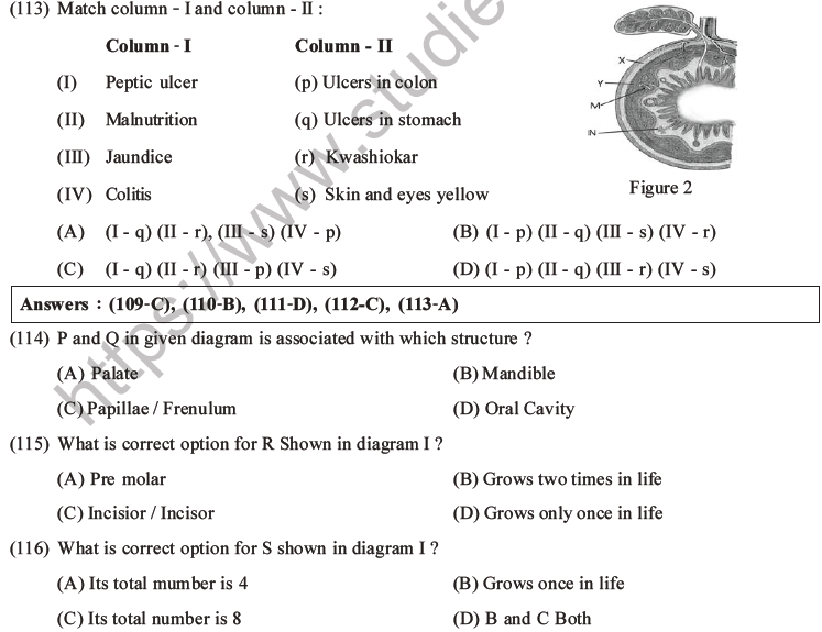 NEET Biology Digestion and Absorption MCQs Set C-30