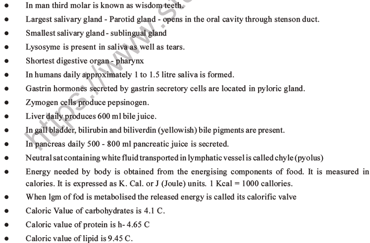 NEET Biology Digestion and Absorption MCQs Set C-32