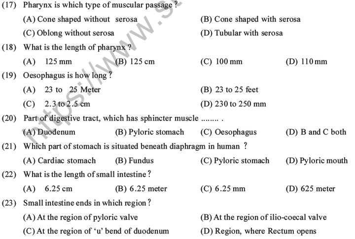 NEET Biology Digestion and Absorption MCQs Set C-4