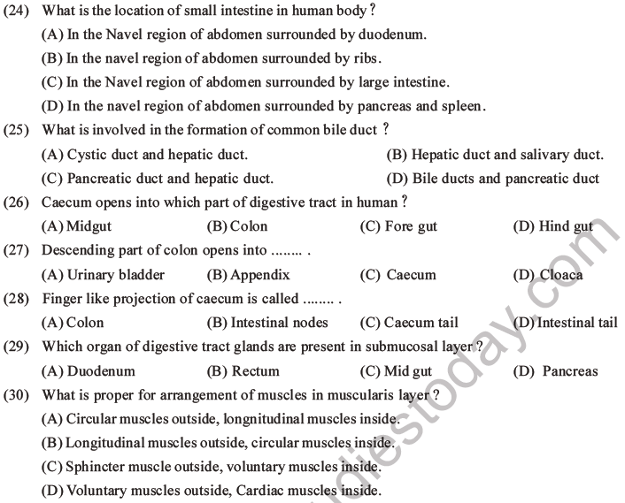 NEET Biology Digestion and Absorption MCQs Set C-5