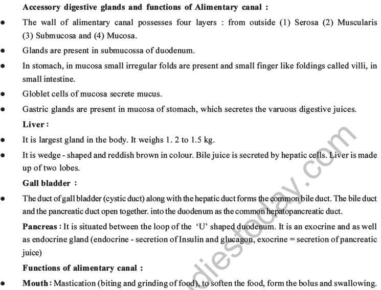 NEET Biology Digestion and Absorption MCQs Set C-7