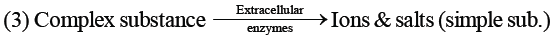 NEET Biology Ecosystem MCQs Set A-1