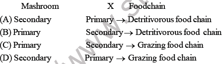 NEET Biology Ecosystem MCQs Set A