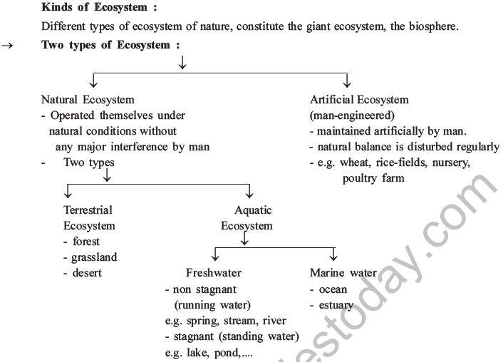 NEET Biology Ecosystem MCQs Set B-1