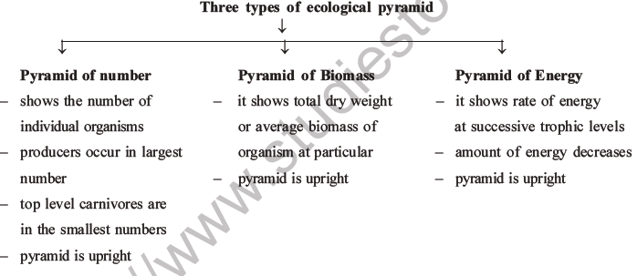 NEET Biology Ecosystem MCQs Set B-10