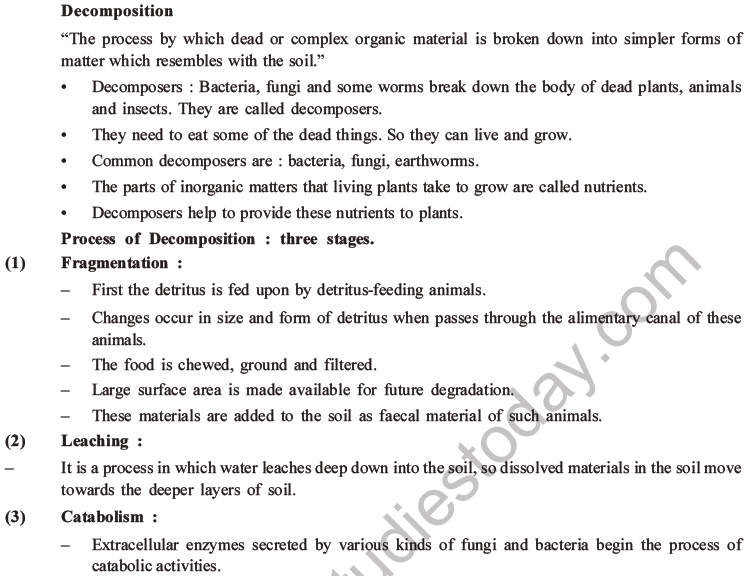 NEET Biology Ecosystem MCQs Set B-16