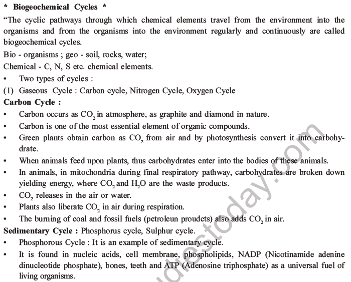 NEET Biology Ecosystem MCQs Set B-18