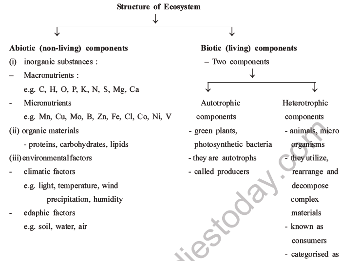 NEET Biology Ecosystem MCQs Set B-3